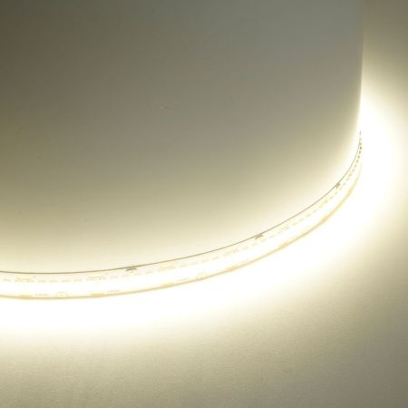 Светодиодная лента Feron LS503 48830