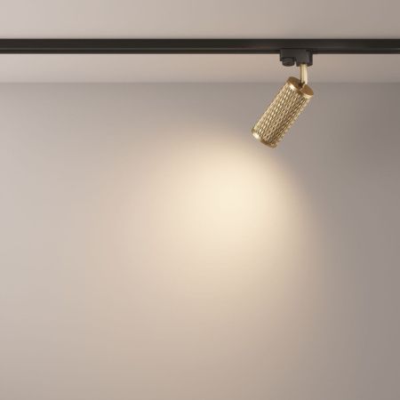 Трековый светодиодный светильник Maytoni Technical Focus Design TR011-1-GU10-G