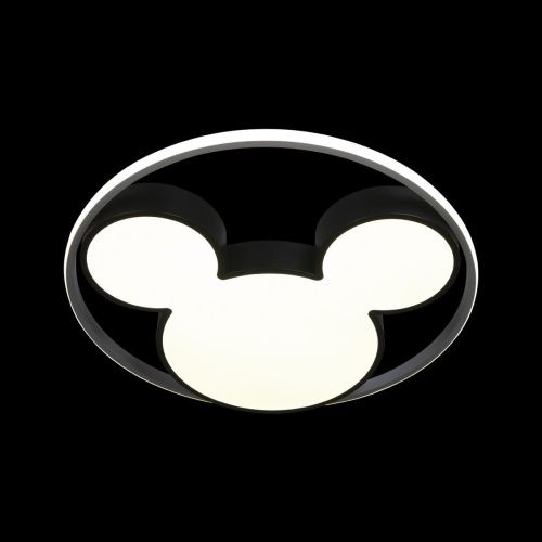 Светильник потолочный Loft It Mike 10166 - фото 2