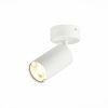 Светильник потолочный ST Luce Dario (Дарио) ST303.502.01