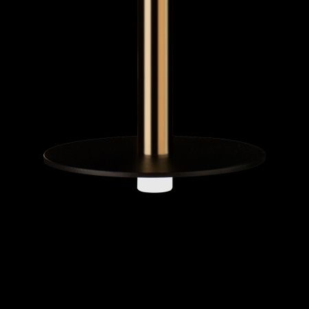 Светильник подвесной Loft It Reed 10358/830 Disk AB