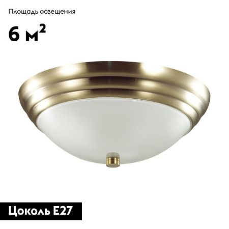 Настенно-потолочный светильник Lumion Vintage (Винтаге) 5262/2C
