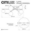 Люстра потолочная Citilux Glob (Глоб) CL209261