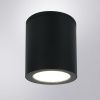 Уличный потолочный светильник Arte Lamp Torcular (Торцулар) A1813PF-1BK