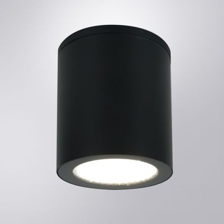 Уличный потолочный светильник Arte Lamp Torcular (Торцулар) A1813PF-1BK