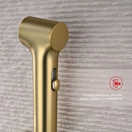 Гигиенический душ со смесителем Raglo R03 R03.52.03 золото