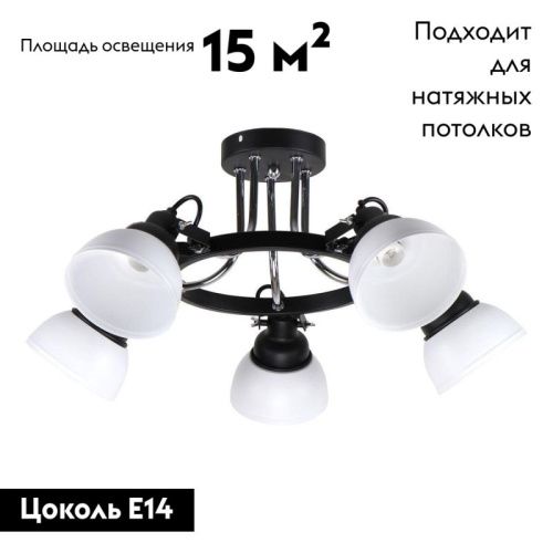 Люстра потолочная IMEX MD.5157 MD.51575-5-S BK - фото 2