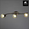Спот Arte Lamp Focus (Фоцус) A5219PL-3BR