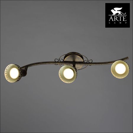 Спот Arte Lamp Focus (Фоцус) A5219PL-3BR
