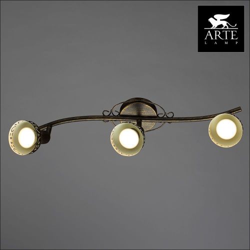 Спот Arte Lamp Focus (Фоцус) A5219PL-3BR - фото 2