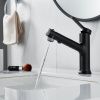 Смеситель Raffine F281H на раковину черный