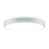 Светильник потолочный Freya Sprida (Сприда) FR6129CL-L80GR