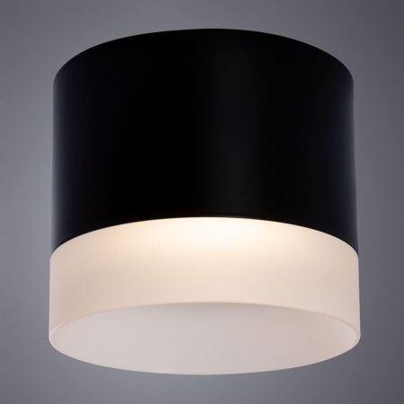 Светильник потолочный Arte Lamp Castor (Цастор) A5554PL-1BK