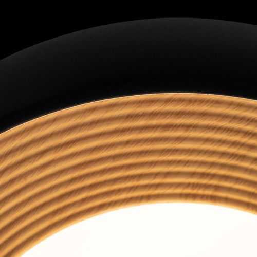 Светильник потолочный Loft It Folk 10255/350 Black - фото 5