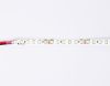 Светодиодная лента Ambrella Light LED Strip 24V (ЛЕД Стрип 24В) GS3102
