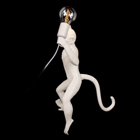 Светильник настенный Loft It Monkey 10314W/B