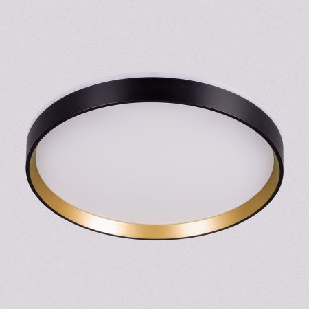 Светильник потолочный музыкальный Citilux Etalon (Еталон) CL750321R
