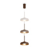 Светильник подвесной Freya Movement (Движение) FR5602PL-L5BR