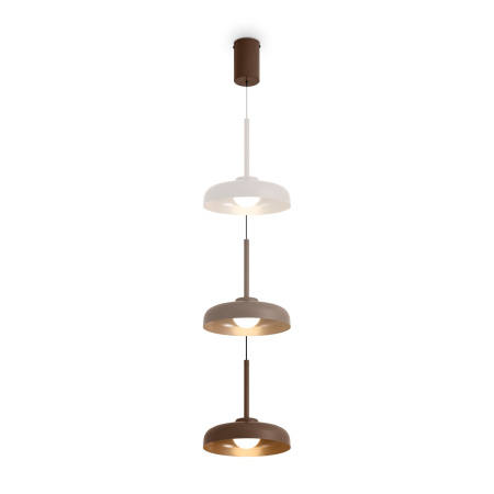 Светильник подвесной Freya Movement (Движение) FR5602PL-L5BR