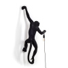 Светильник настенный Seletti Monkey Lamp (Монкеы Ламп) 14921