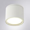 Уличный потолочный светильник Arte Lamp Piautos (Пиаутос) A1913PF-1WH