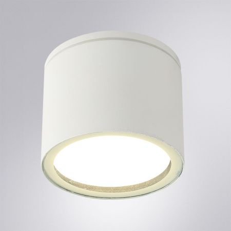 Уличный потолочный светильник Arte Lamp Piautos (Пиаутос) A1913PF-1WH