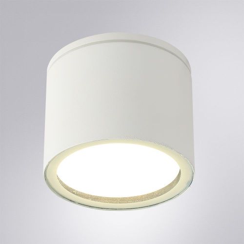 Уличный потолочный светильник Arte Lamp Piautos (Пиаутос) A1913PF-1WH - фото 2
