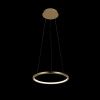 Светильник подвесной Loft It Ring 10014S