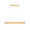 Светильник подвесной Wertmark Technical Step Pendant P010PL-L23G3K