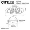Люстра на штанге Citilux Salma smart (Салма смарт) CL224A162