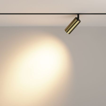 Трековый светодиодный светильник Maytoni Technical Focus Led (Фокус) TR032-2-12W3K-M-BBS