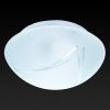 Настенно-потолочный светильник Toplight Alicia (Алициа) TL9441Y-01WH