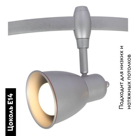 Трековый светильник Arte Lamp Rails Heads (Раилс Хеадс) A3058PL-1SI