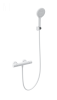 Смеситель для душа Wonzon & Woghand Inn WW-B3013-A-MW настенный белый с термостатом