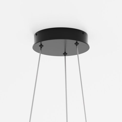 Светильник подвесной Maytoni Rim Modern MOD058PL-L54BK - фото 5