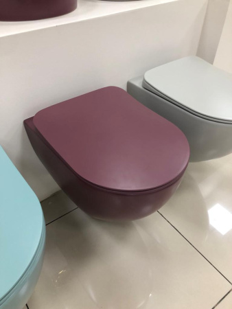 Крышка сиденье для унитаза Creavit Duck KC0903.01.1900E