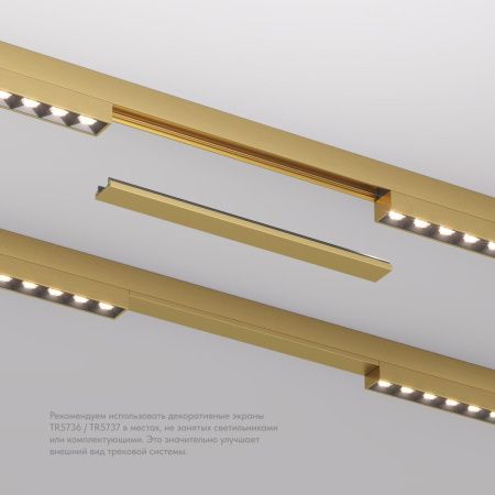 Заглушка Denkirs Shine base (Схине басе) TR5736-SB