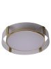 Светильник потолочный Zortes Gerda (Герда) ZRS.1097.50