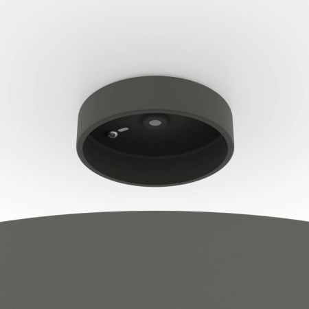 Светильник потолочный Eglo Duaia (Дуаиа) 900837