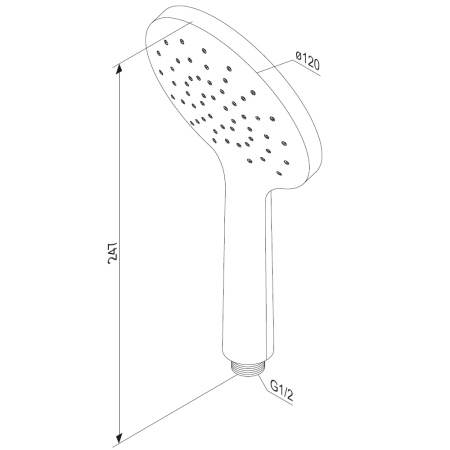 Душевая лейка Damixa Jupiter 977020300 круглая