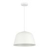 Светильник подвесной Evoluce Blank (Бланк) SLE1805-503-01