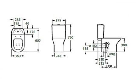 Чаша унитаза напольная Roca Leon 7342649000 цвет белый без бачка без сиденья смыв торнадо