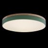 Светильник потолочный Loft It Axel 10001/36 Green