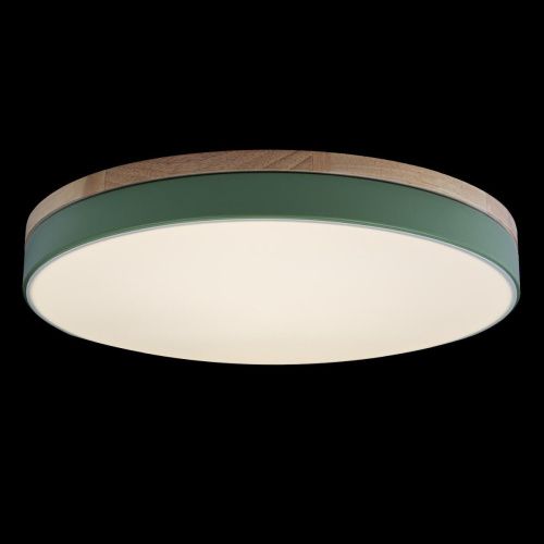 Светильник потолочный Loft It Axel 10001/36 Green - фото 2