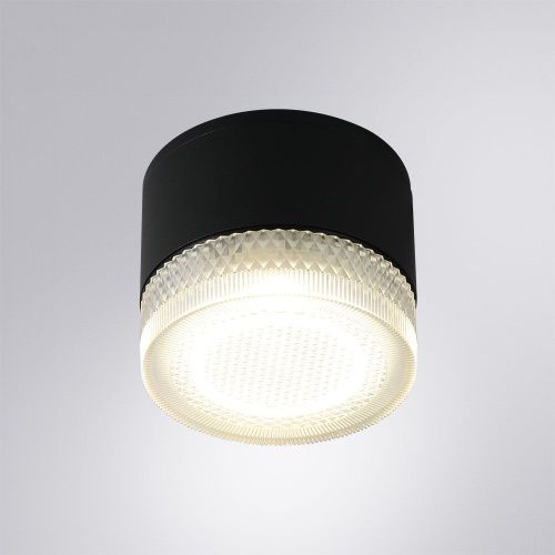 Уличный потолочный светильник Arte Lamp Piautos (Пиаутос) A1926PF-1BK - фото 2