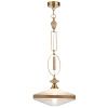 Светильник подвесной Odeon Light Pendant (Пендант) 5441/1