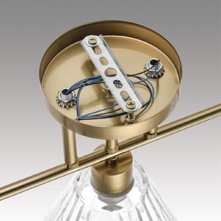 Светильник потолочный Lumion Vivian (Вивиан) 8188/3C