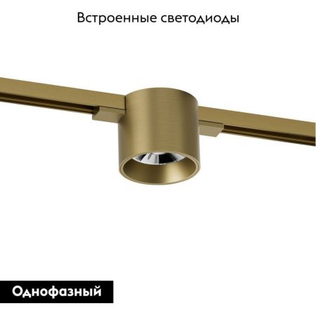 Трековый однофазный светильник Denkirs Shine spot (Схине спот) DK5743-SB