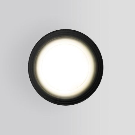 Уличный потолочный светильник Elektrostandard Light (Лигхт) 4690389175916