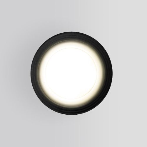 Уличный потолочный светильник Elektrostandard Light (Лигхт) 4690389175916 - фото 2